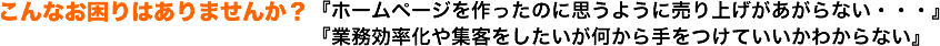 こんなお困りはありませんか？『ホームページを作ったのに思うように売り上げがあがらない・・・』『業務効率化や集客をしたいが何から手をつけていいかがわからない。』